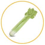 celery