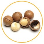 macadamia