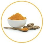 turmeric root